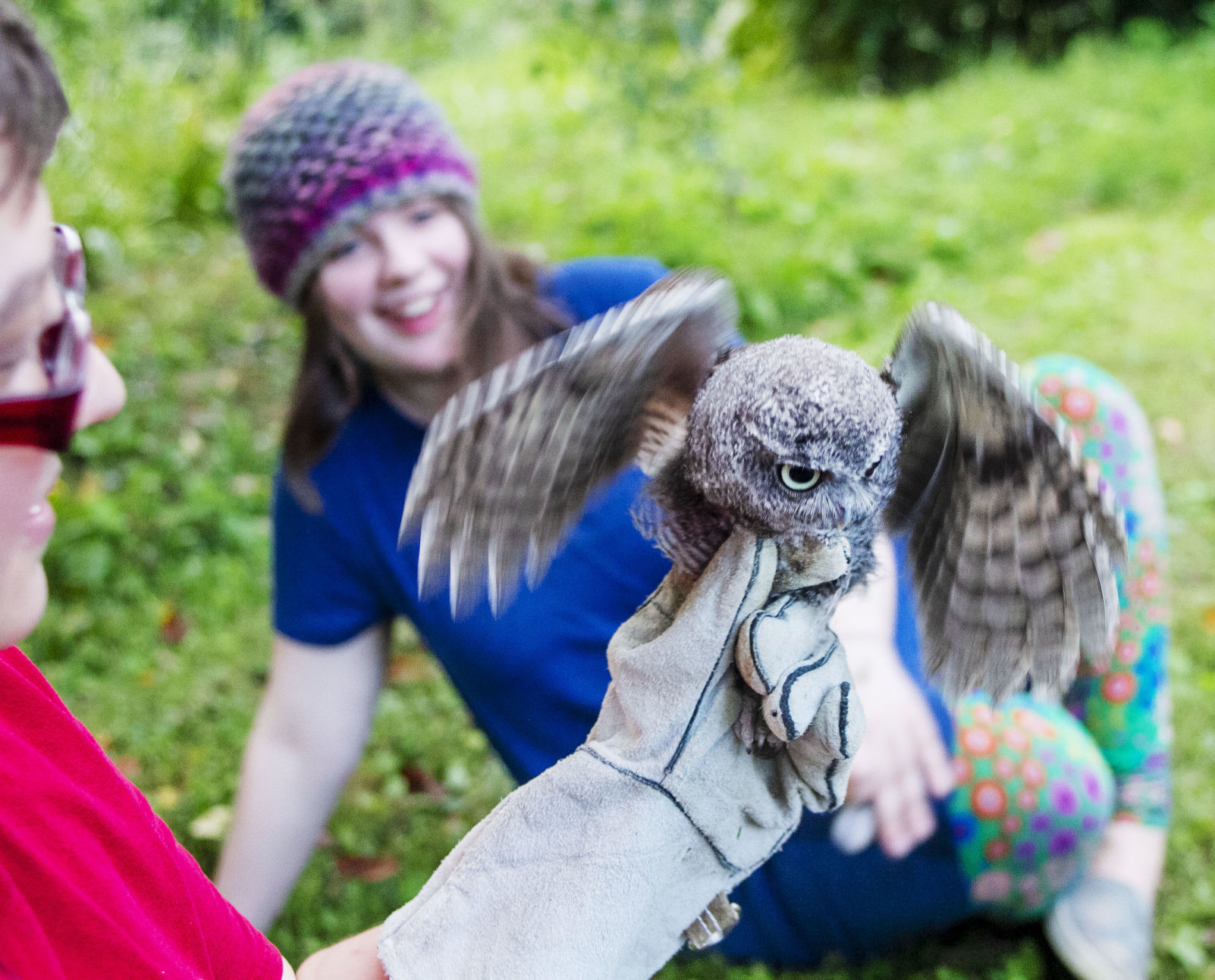 Rehabilitated owl released into wild